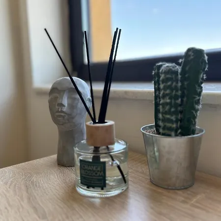 за гости център-придунавска