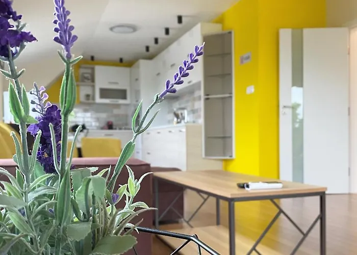 за гости център-придунавска Апартаменты